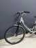 Велосипед Pegasus Milano  планетарная втулка Shimano nexus 8